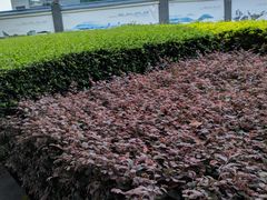 -广州国际生物岛山地公园揽胜园