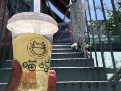 -喵屿·大理花园猫咖