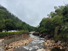 -姑婆山旅游区