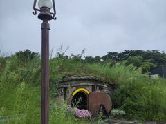 -济州森林小火车生态公园
