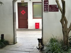 -西湖游船