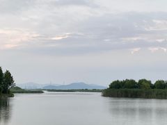 -新木器时代餐厅(太湖新天地店)