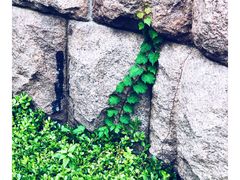 -青岛德国总督楼旧址博物馆
