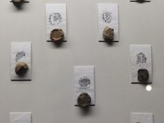 -古陶文明博物馆