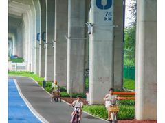 -宝安西湾红树林湿地公园