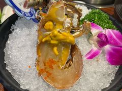 -东海怡品海鲜豆捞(舟宿夜江店)