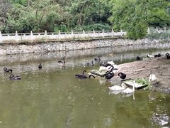 -黔灵山公园-南门售票处