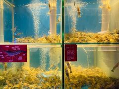 水产区-钳真多钓虾馆·小龙虾海鲜烧烤(九六广场店)