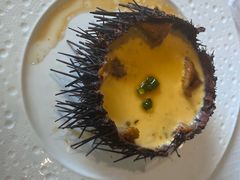 -开海·红岛海鲜虾水饺(石老人店)