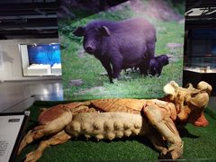 -昆山招商花园城