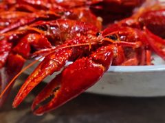 -沪小胖小龙虾(淮海中路旗舰店)