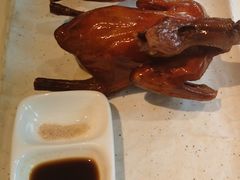 -侨美·唐荔园·40年地道粤菜