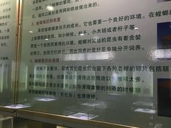 -上海昆虫博物馆