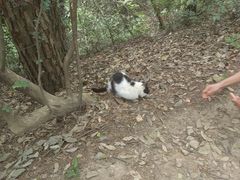 -浙江大学(玉泉校区)