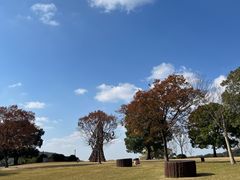 -上海月湖雕塑公园