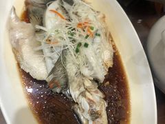 清蒸鲈鱼-醉湘厨艺(才华街店)