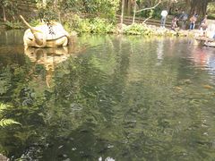 -海口火山口国家地质公园