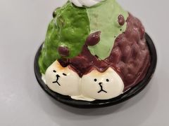 -王守财小山園