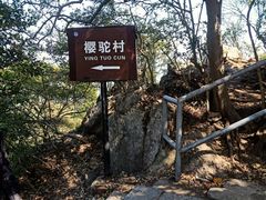 -紫金山山顶公园