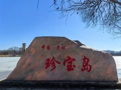 -珍宝岛