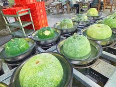 -金瑶池·猪肚鸡·传统冬瓜盅(20年白沙店)