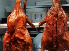 -阿诚市井潮汕菜(金台路店)