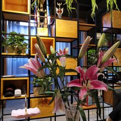 -藤野造型·专业烫染店