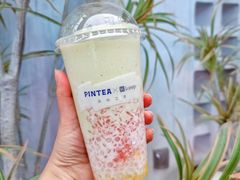 牛油果甘露-PINTEA LAB(北京路店)