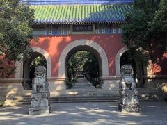 -灵谷景区