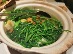 -煲煲好(朝阳门店)
