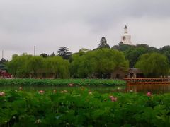 -后海公园