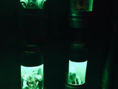 -秃鹫湾·推理大师沉浸式实景演绎推理剧场