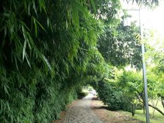 -贵阳市花溪国家城市湿地公园