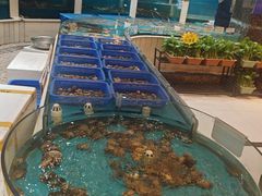 -福泉海码头(六里山店)