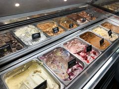 -Patagonia Chocolates(皇后镇店)