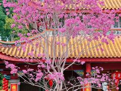 -天竺岩寺