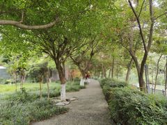 -沙河三洞古桥公园