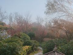 -贮水山儿童公园