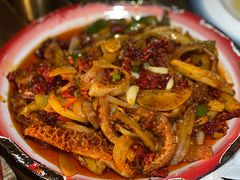 -柴窝堡22号辣子鸡·传承新疆菜