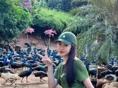 -西双版纳勐泐文化旅游区