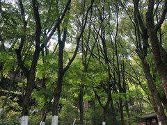 -宁波市保国寺古建筑博物馆