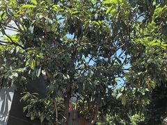 -西南交通大学(九里校区)