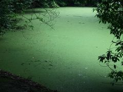 -广富林郊野公园