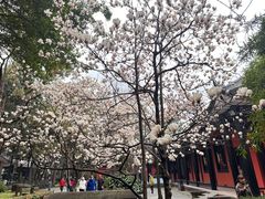 -成都武侯祠博物馆