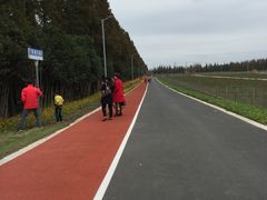 -上海长兴岛郊野公园