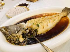 -金狮麟·新豫菜(金码大厦店)