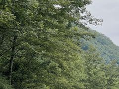 -青城两河漂流