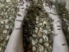 -苏州环秀晓筑养生度假村