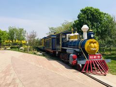 -武清南湖绿博园