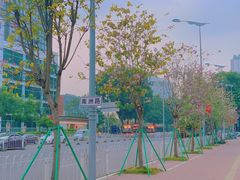 -汕头小吃粿汁(怡居街店)